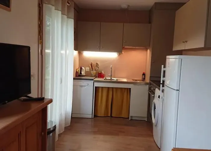 20 Pmr - Confort Et Accessibilite Au Coeur Du Parc Des Volcans D'auvergne Feriehus